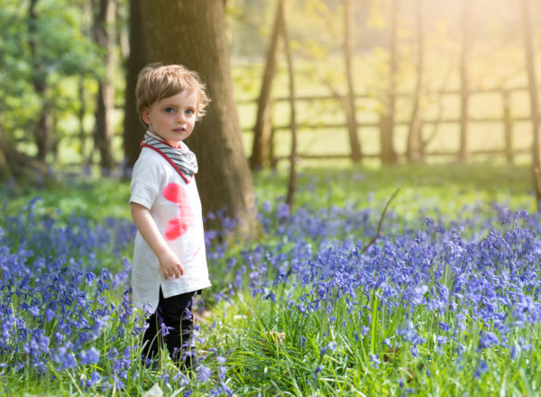 Toddler boy standing amongst the bluebells during spring photoshoot in Wallingford