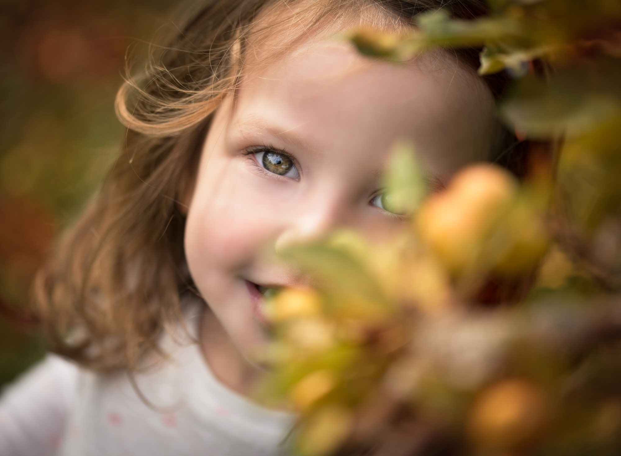 HazelAutumn2018